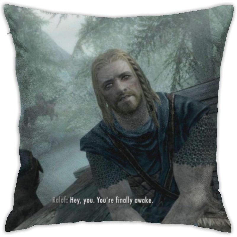 Pillow Insert 18X18 - [Housse de coussin pour la décoration