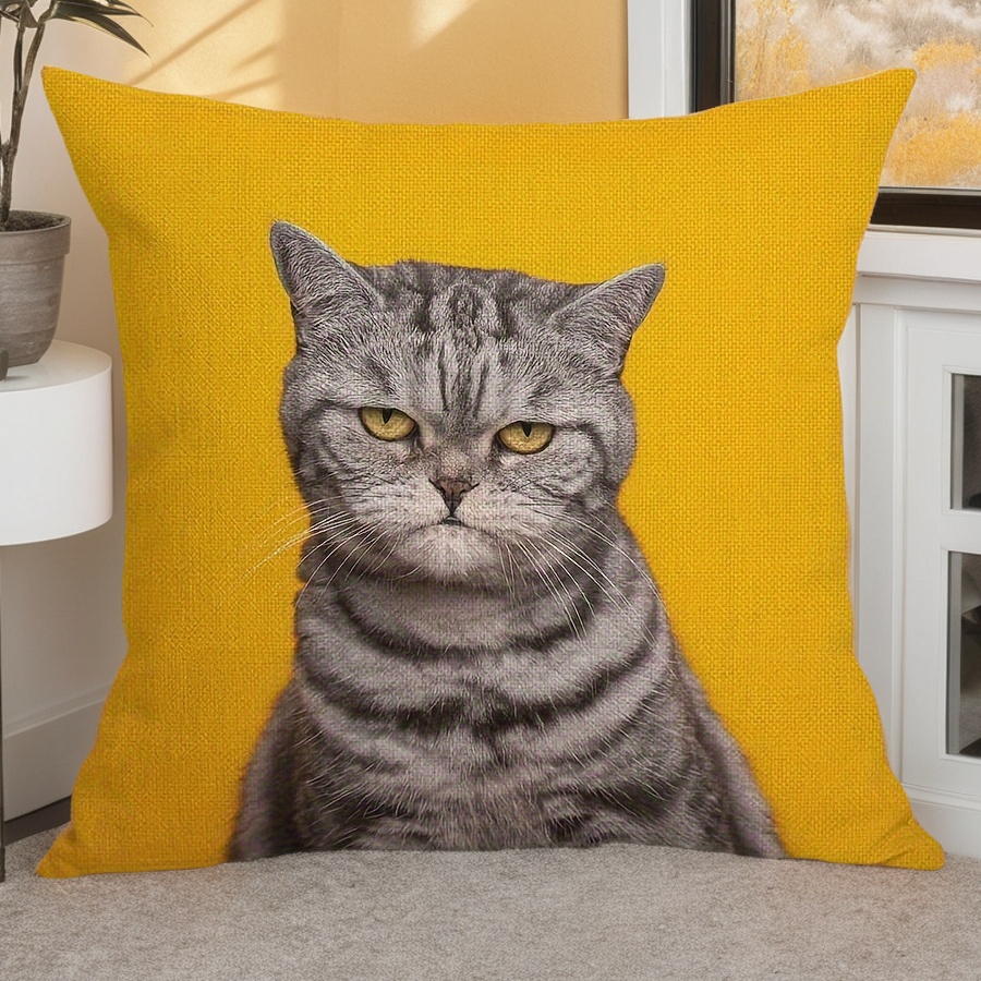 Housse de coussin décorative e - Pillow Insert 18X18 avis et prix