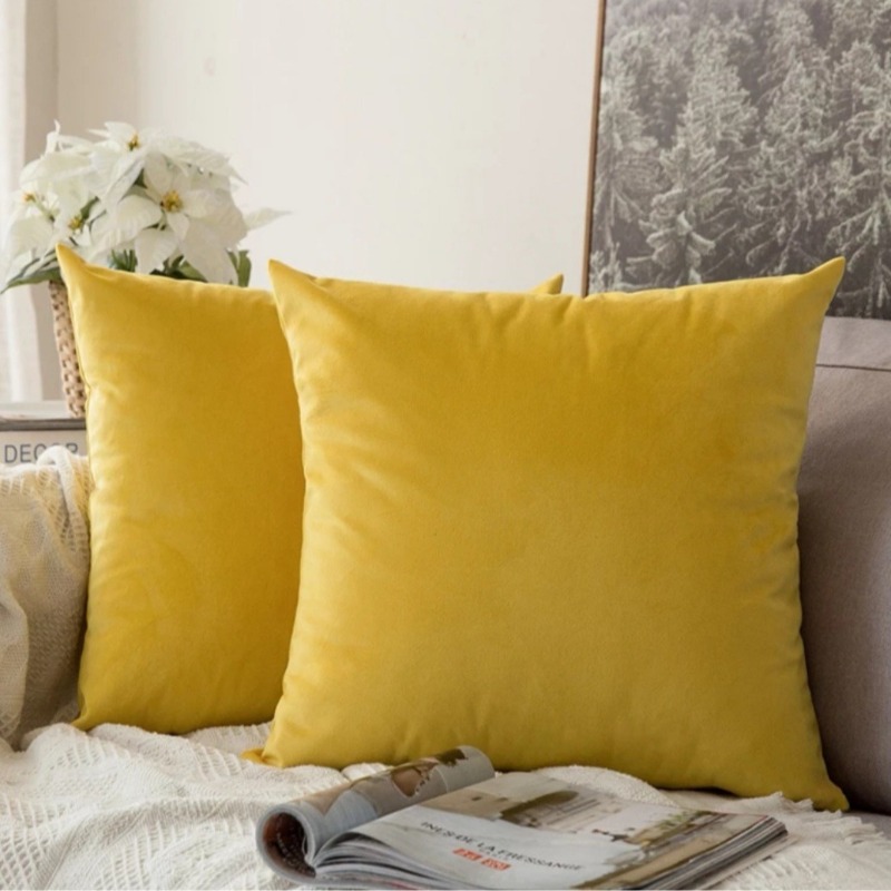 Housse de coussin de siège de  - Pillow Insert 18X18 avis et prix