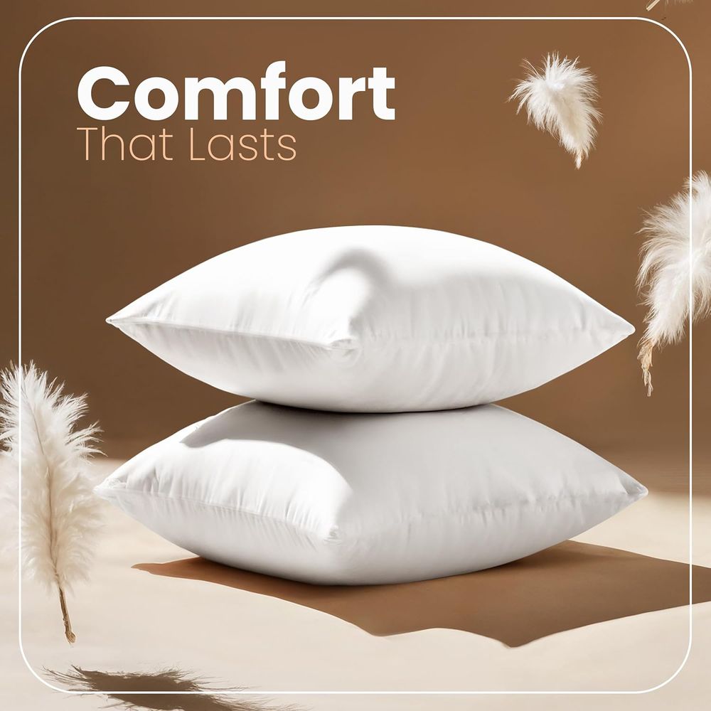 Paire d'inserts de coussin bla - Pillow Insert 18X18 avis et prix